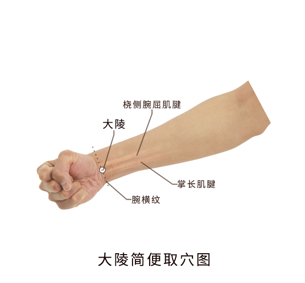 简便取穴在腕前区,腕掌侧远端横纹中,掌长肌腱与桡侧腕屈肌腱之间.