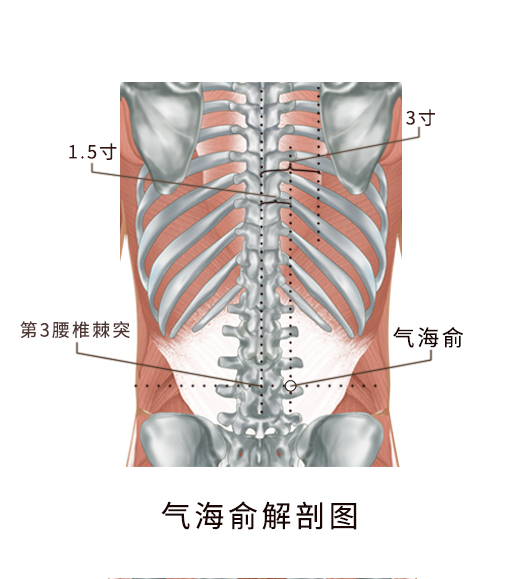 气海俞