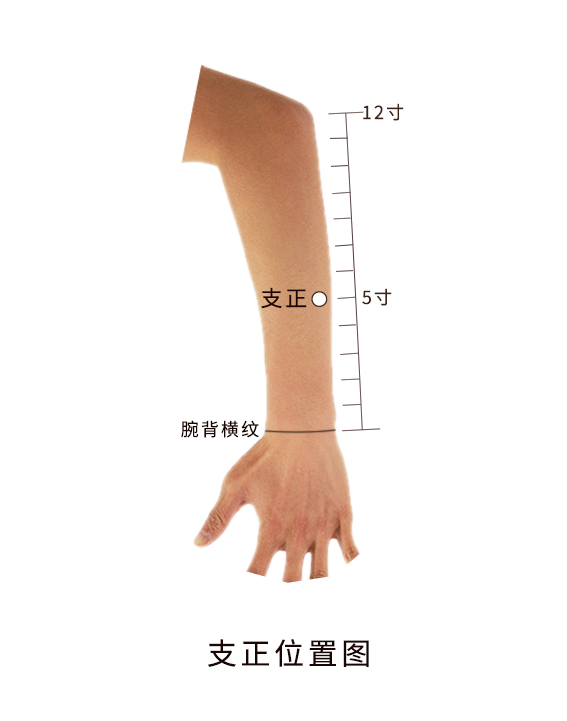在前臂后区,腕背侧远端横纹上5寸,尺骨尺侧与尺侧腕屈肌之间